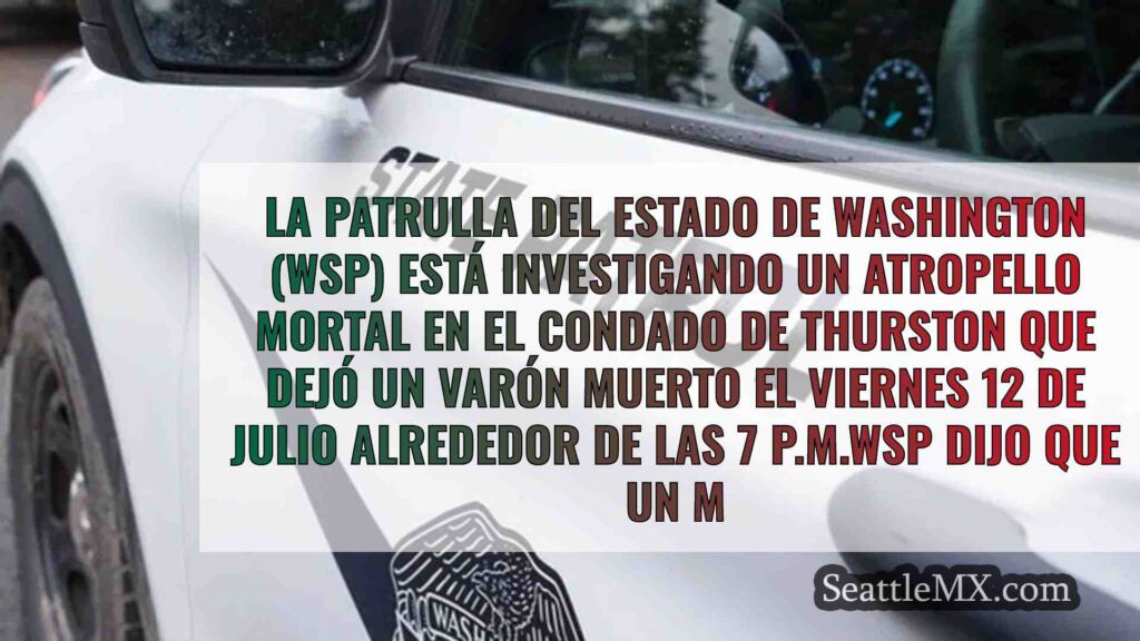 El WSP investiga un atropello mortal
