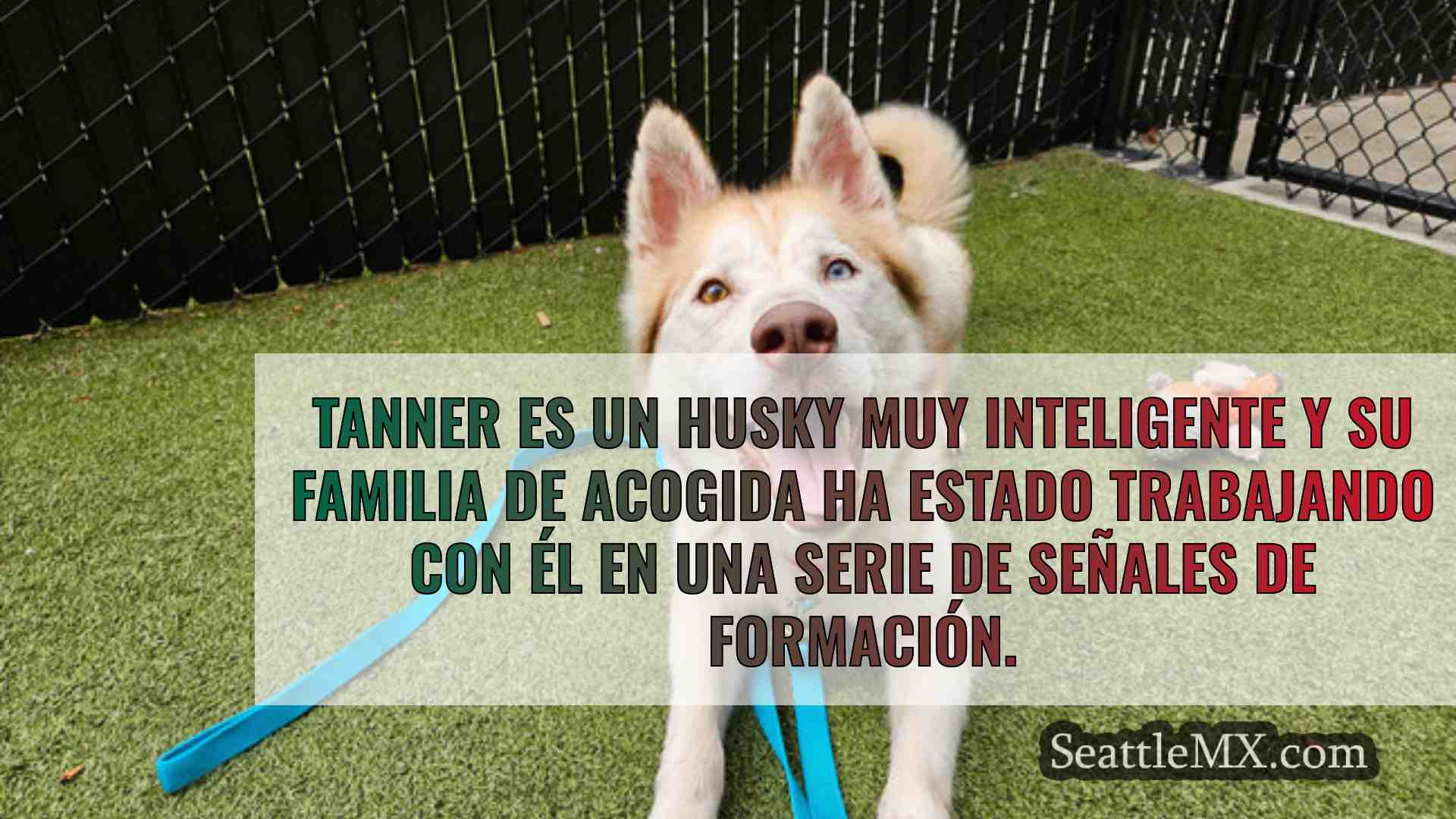 Noticias de Seattle SeattleMX
