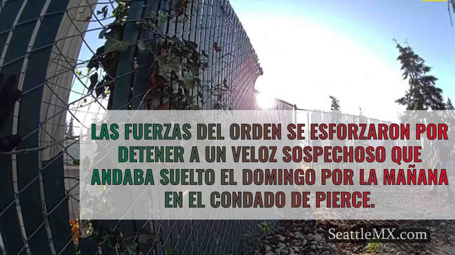 Noticias de Seattle SeattleMX