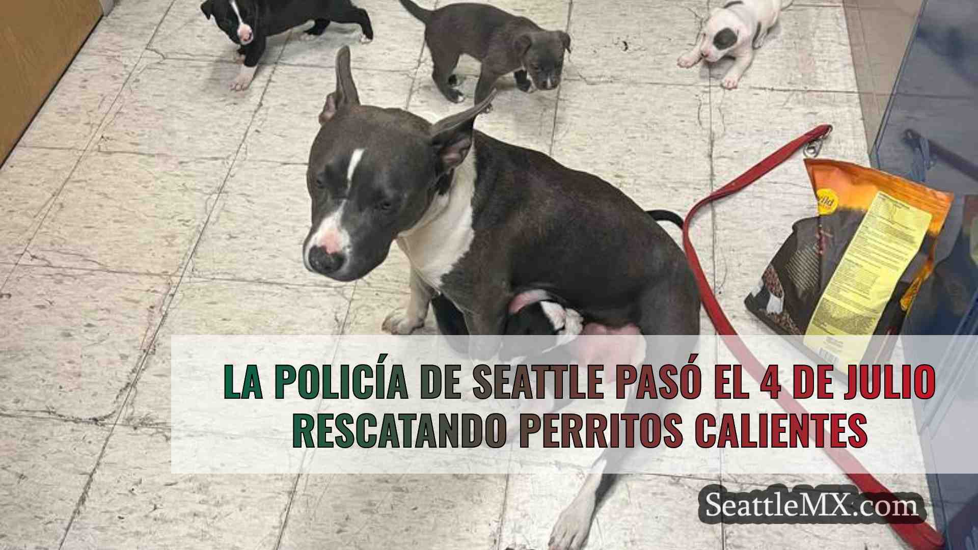 Noticias de Seattle SeattleMX