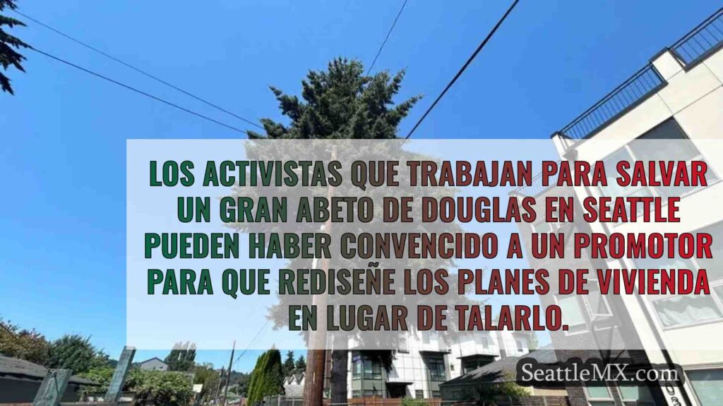 Un promotor de Seattle podría rediseñar
