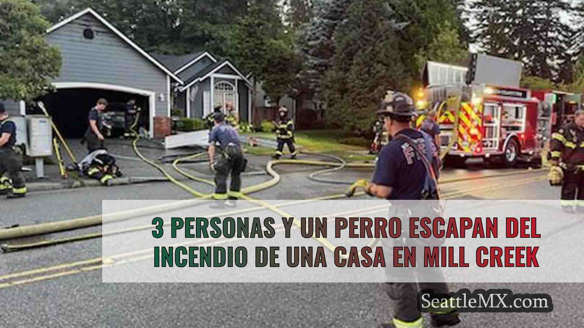 3 personas y un perro escapan del