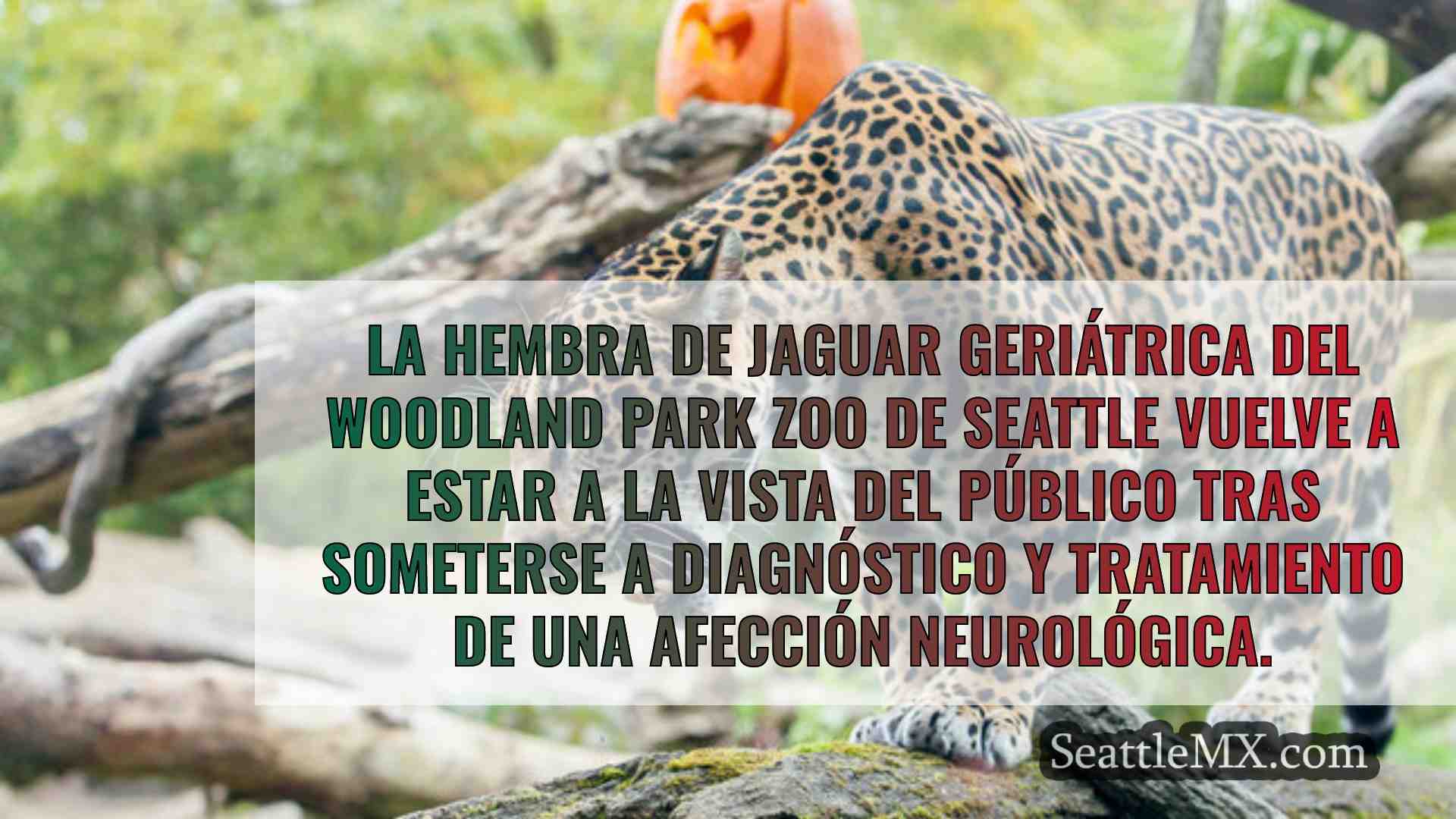 Noticias de Seattle SeattleMX