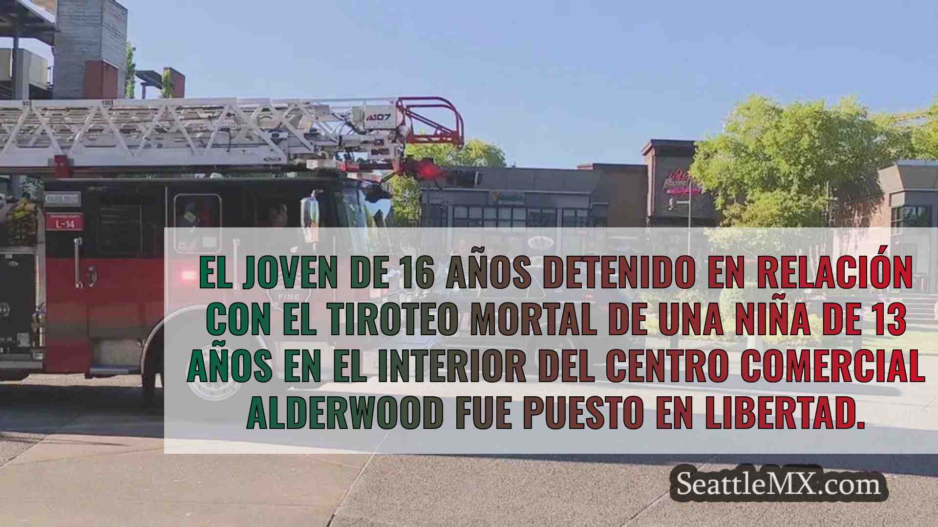 En libertad bajo fianza el joven de 16