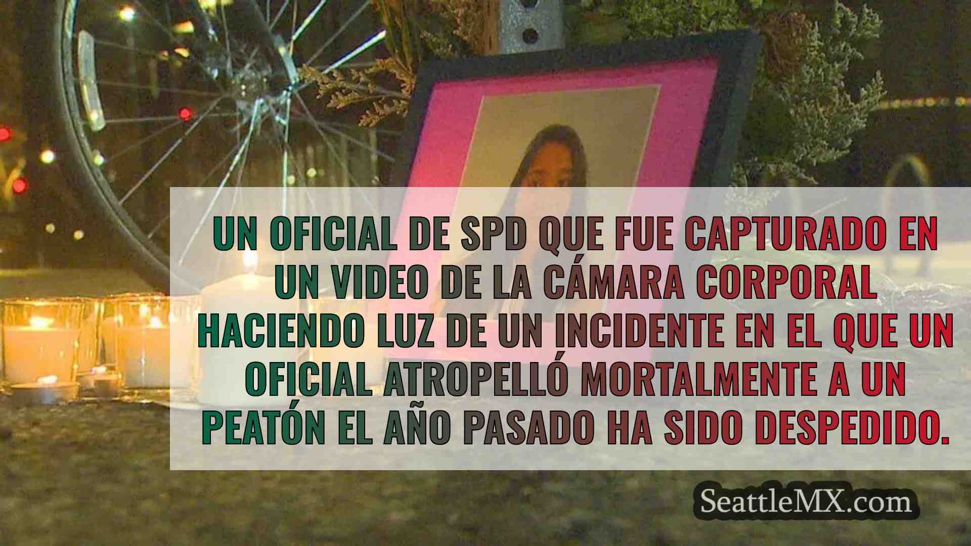 El jefe del SPD despide al agente que