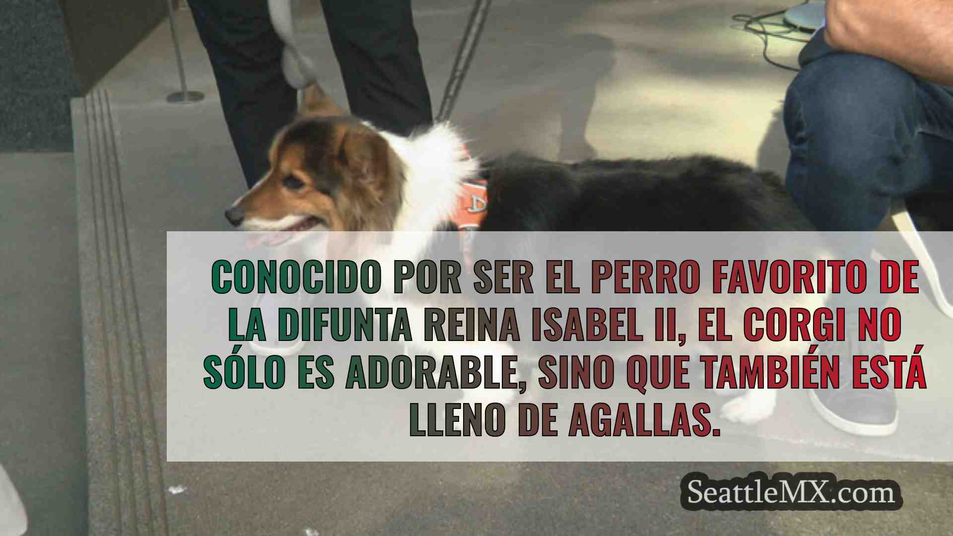Noticias de Seattle SeattleMX