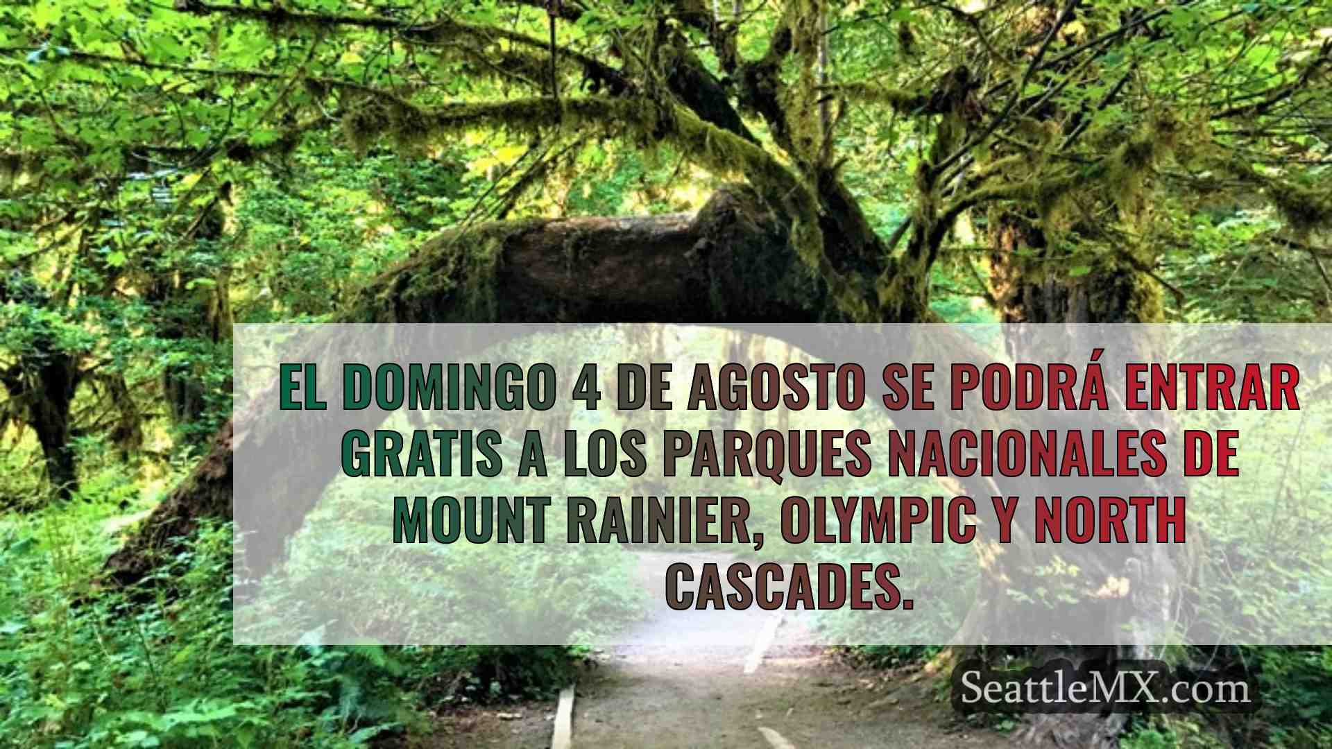 Este domingo puedes entrar gratis en