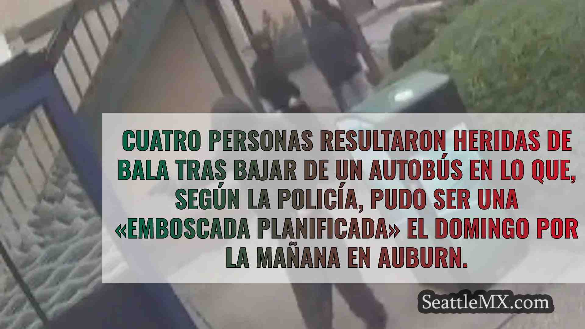 Un vídeo muestra cómo unos sospechosos
