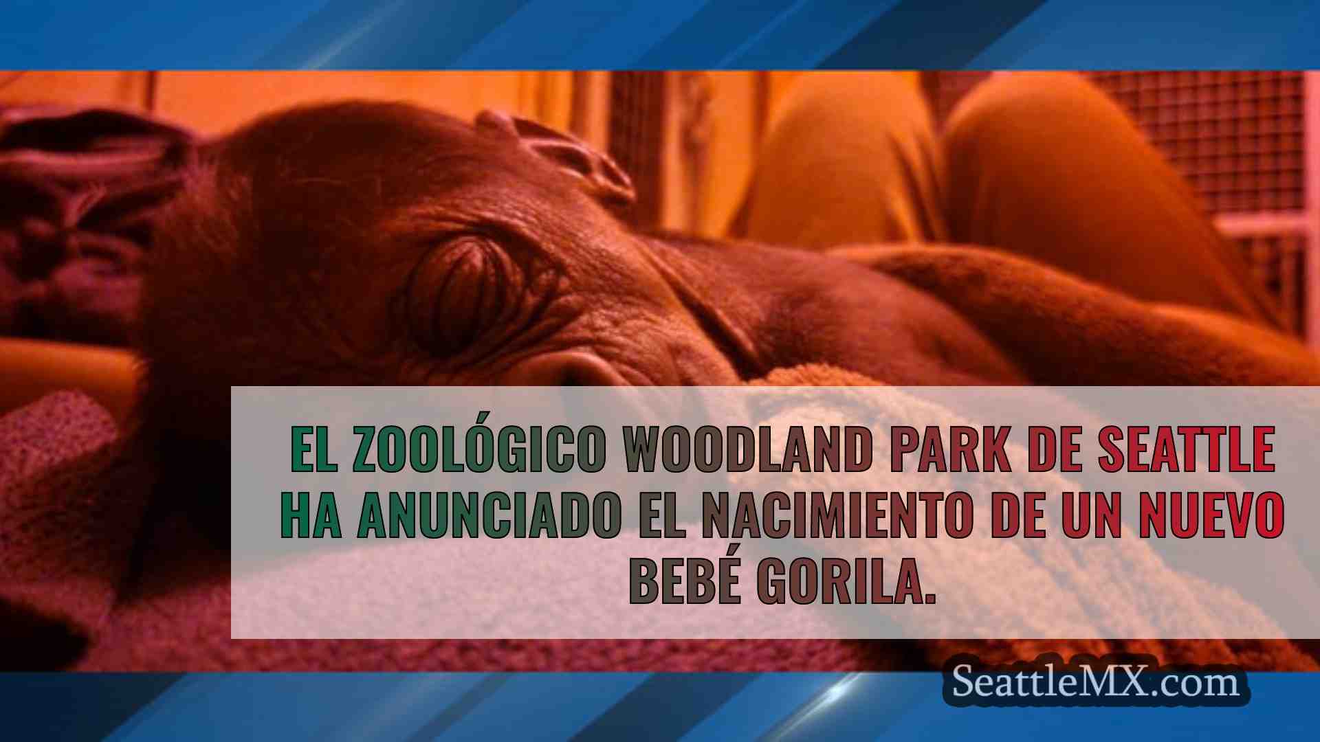 Noticias de Seattle SeattleMX
