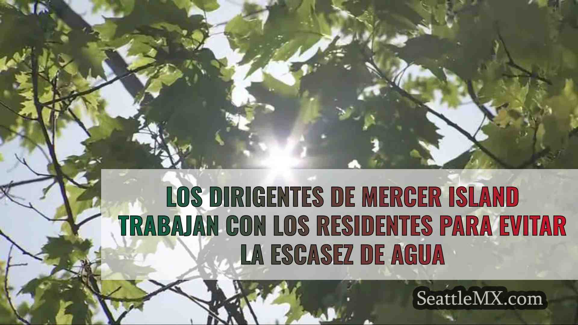Los dirigentes de Mercer Island