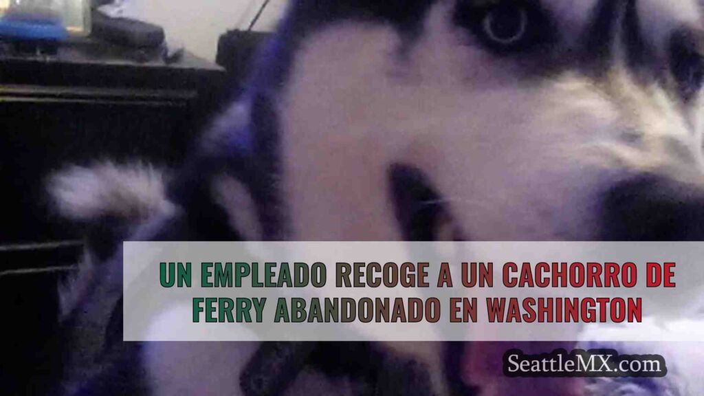Un empleado recoge a un cachorro de