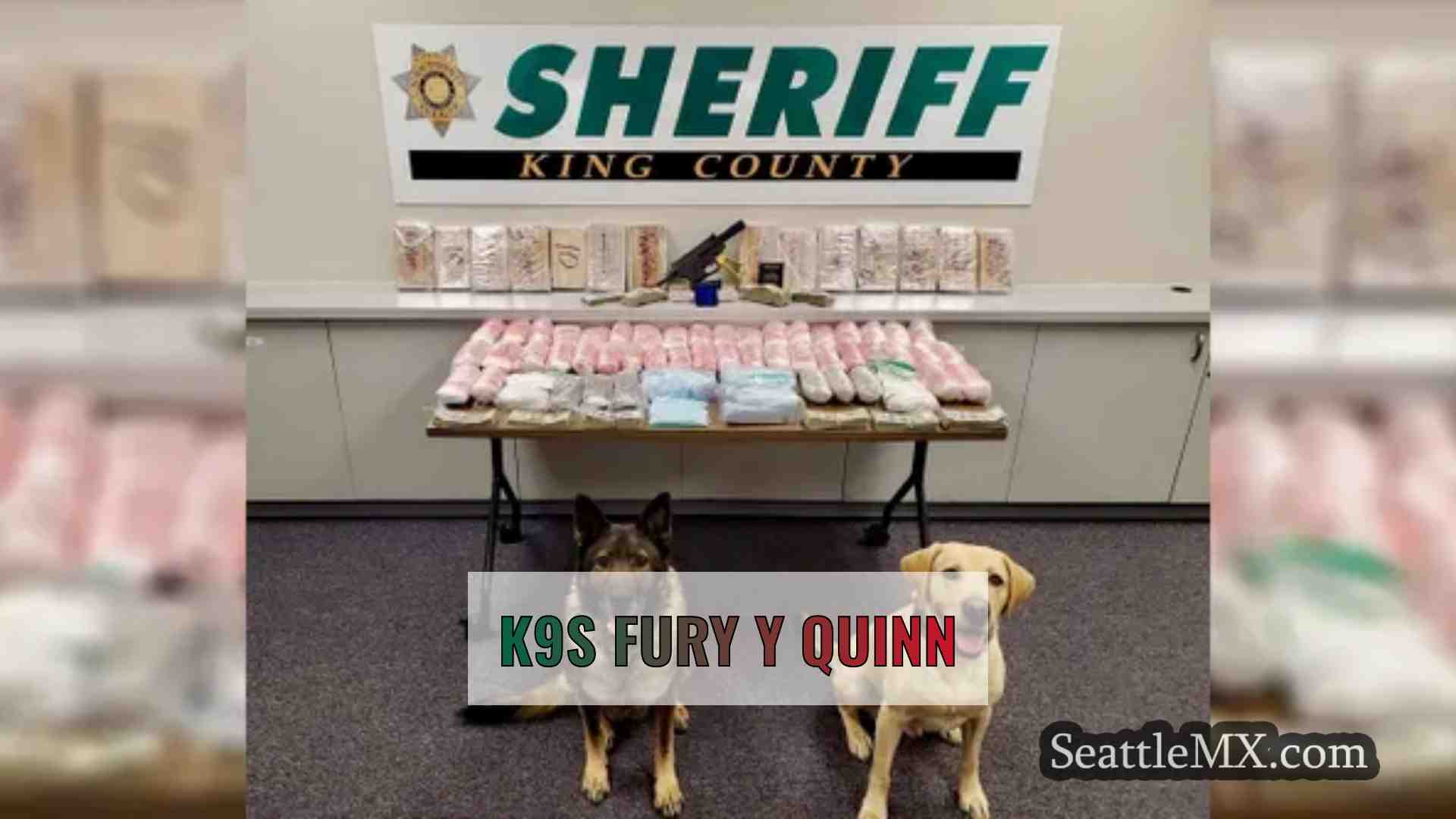Los K9 Fury y Quinn descubren una