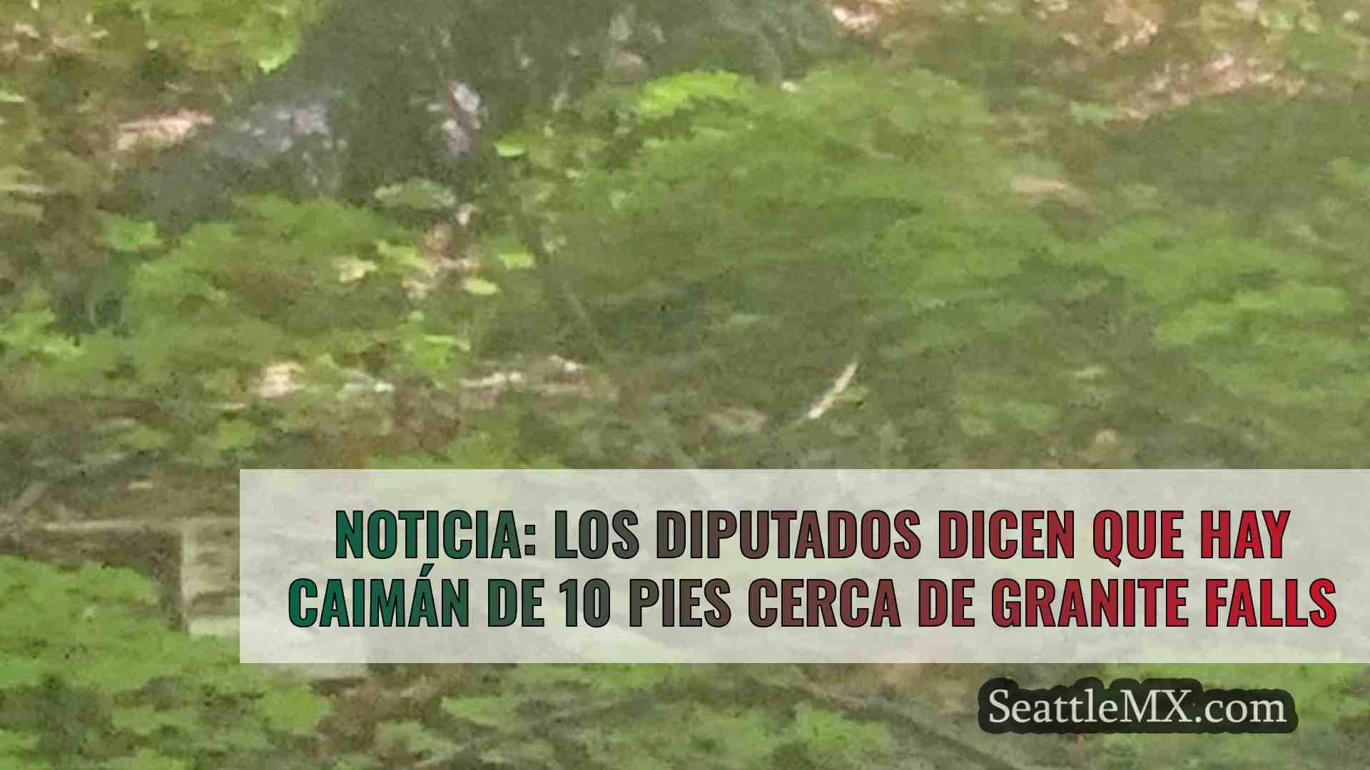 NOTICIA: Los diputados dicen que hay