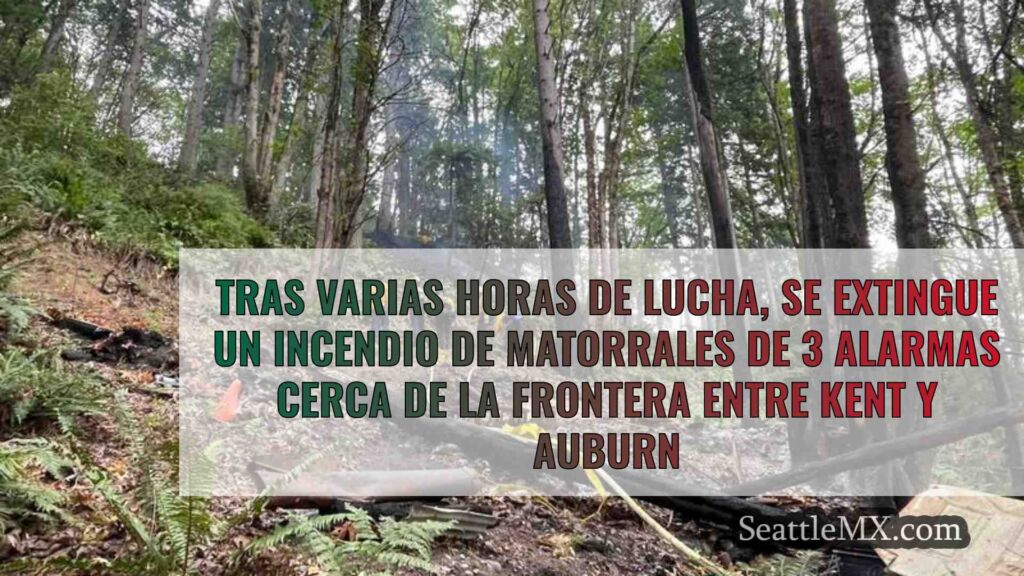 Tras varias horas de lucha, se extingue