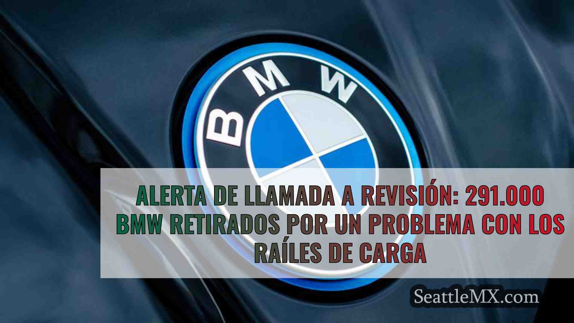 Alerta de llamada a revisión: 291.000