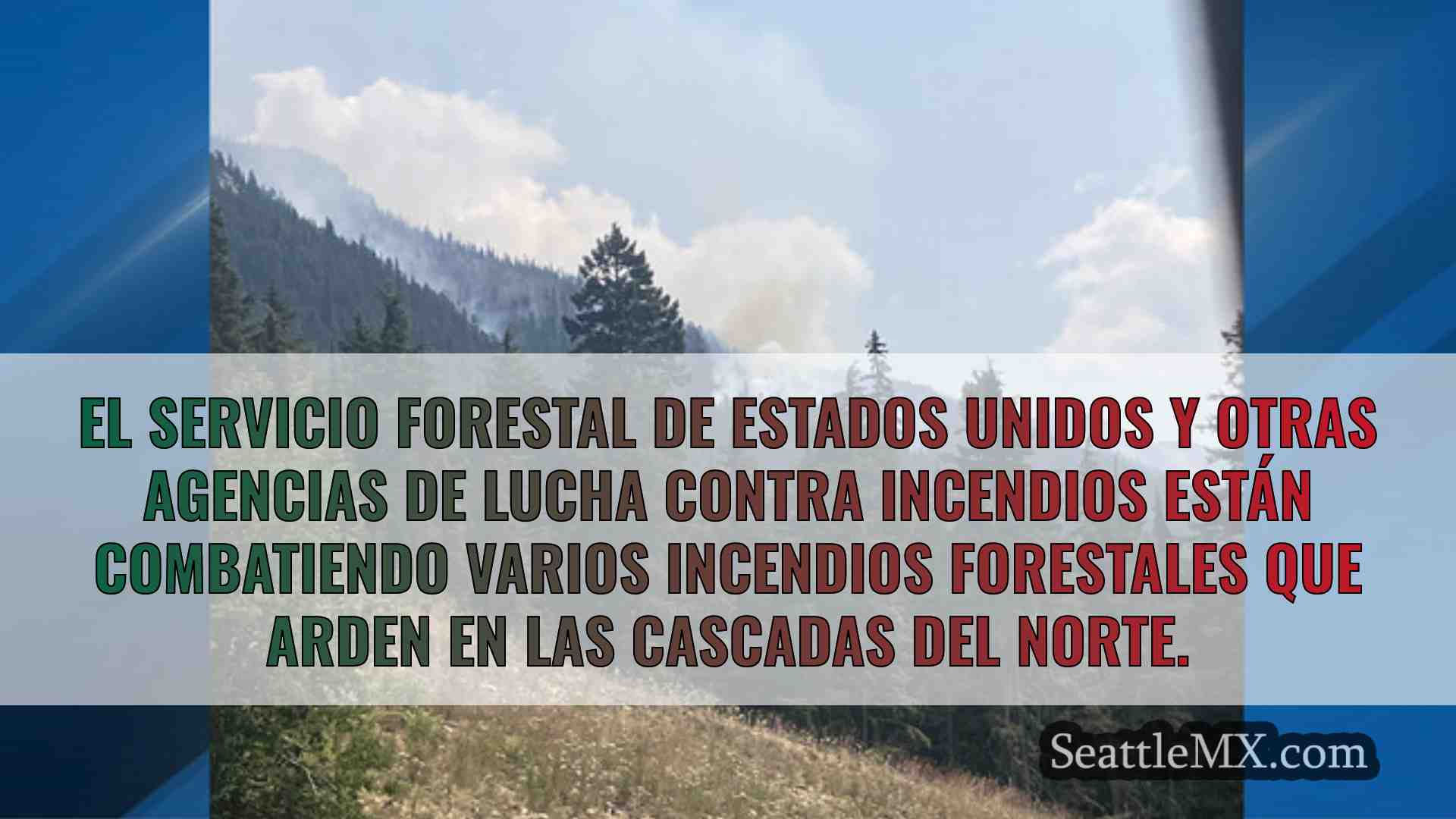 Noticias de Seattle SeattleMX