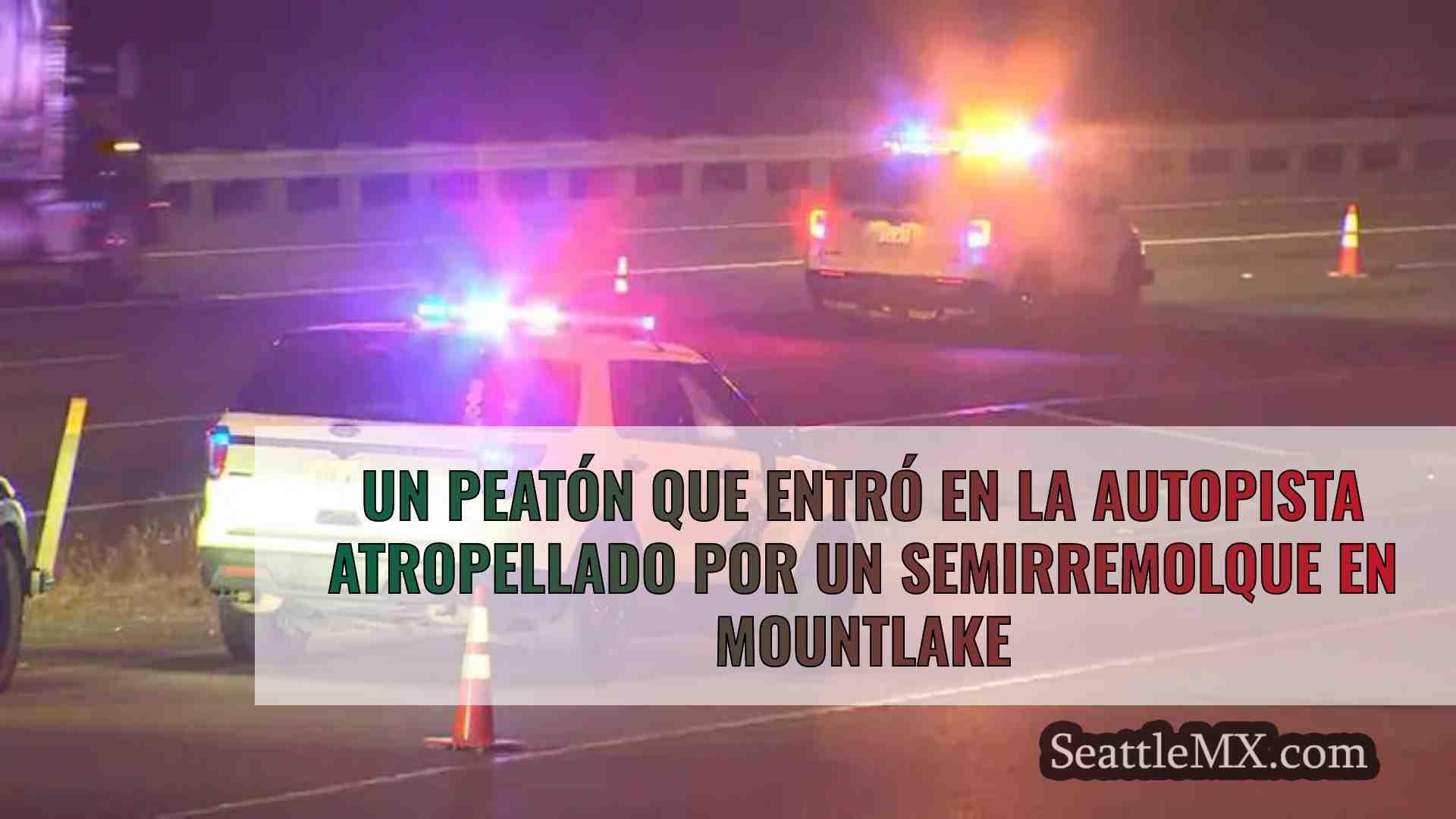 Peatón que caminaba hacia la autopista