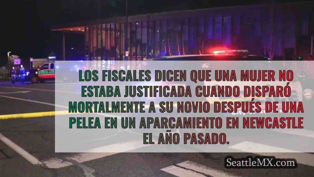 Una mujer de Newcastle acusada de