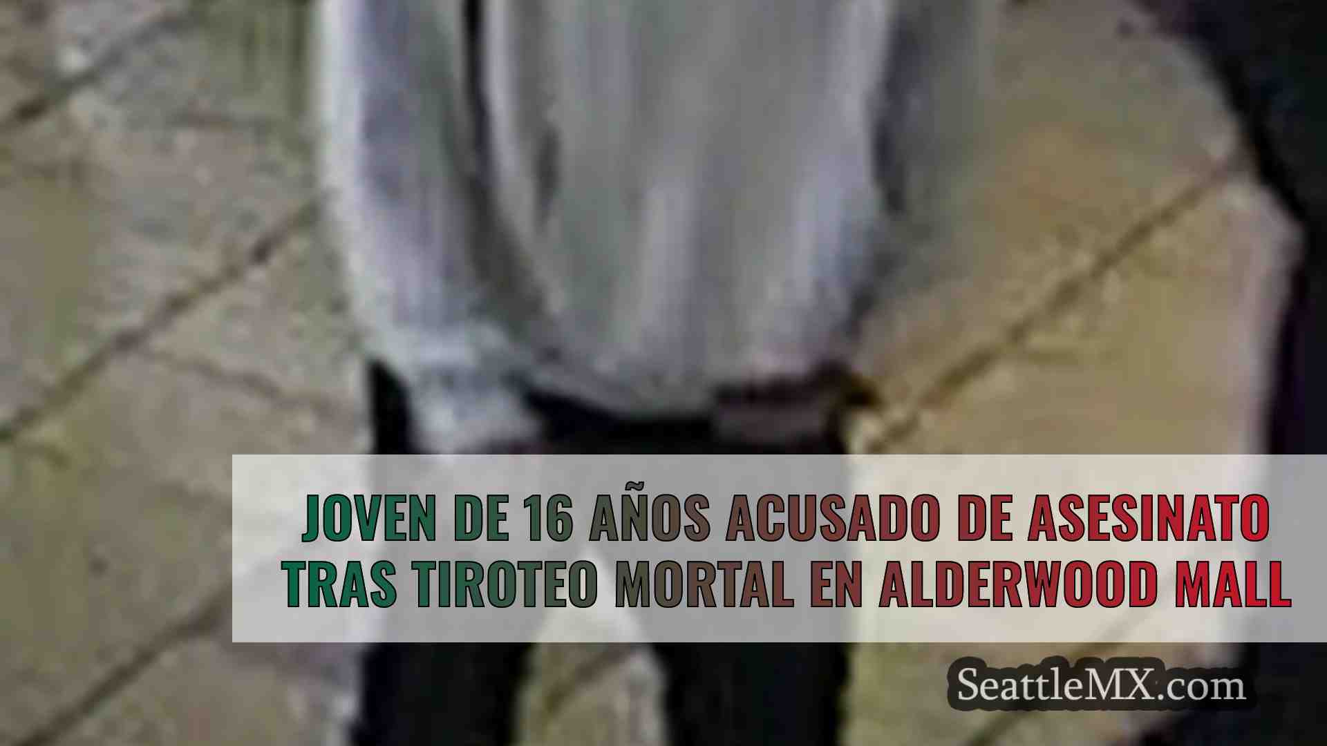 Joven de 16 años acusado de asesinato
