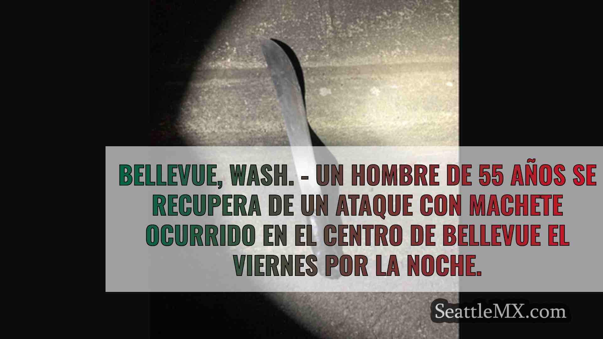 Un hombre asaltado con un machete en el
