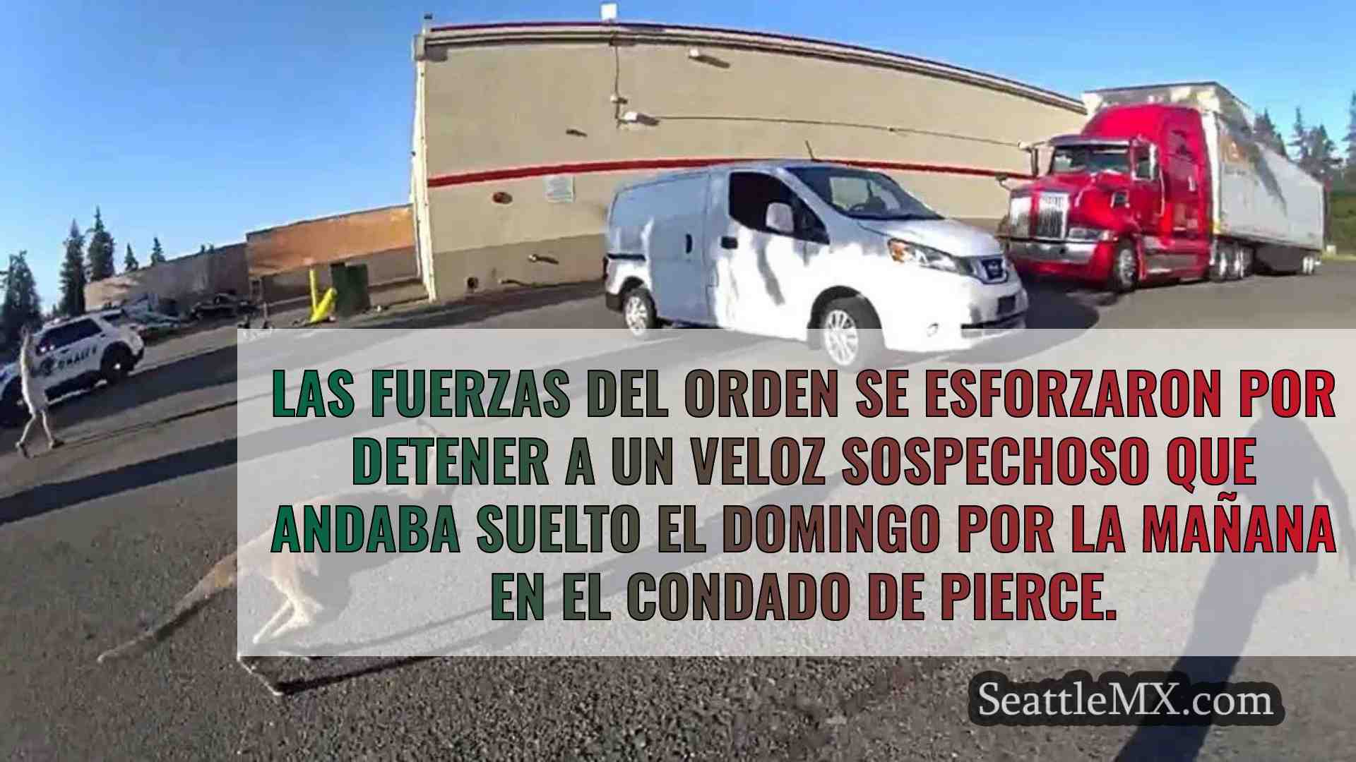 Un vídeo muestra a funcionarios del