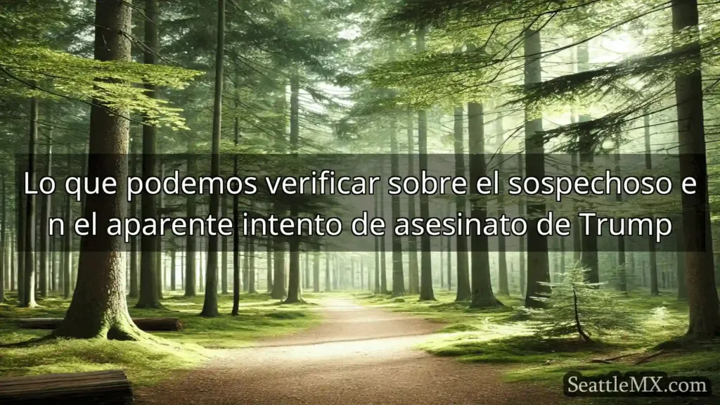 noticias de seattle Lo que podemos verificar sobre el