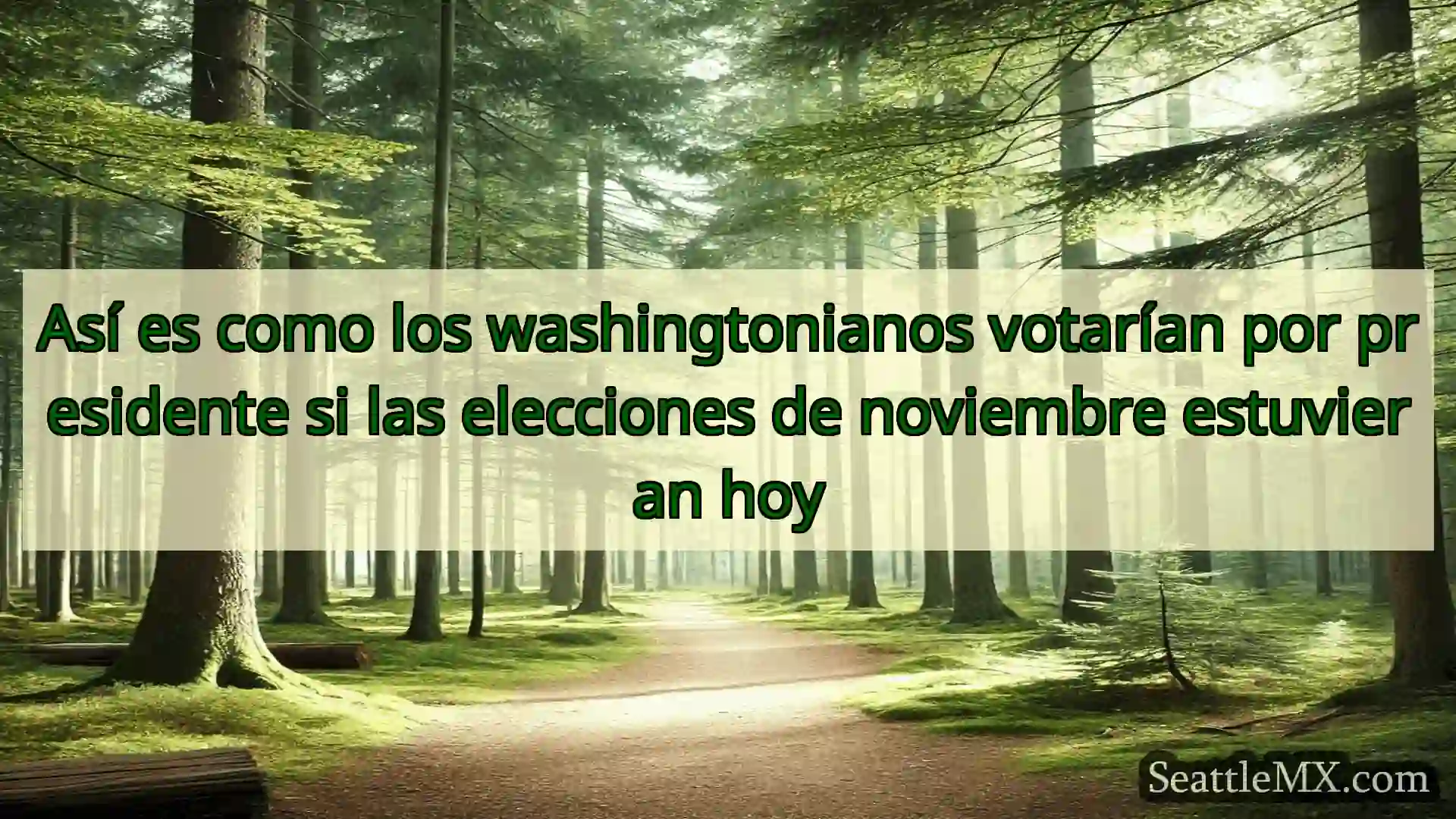 noticias de seattle Así es como los washingtonianos