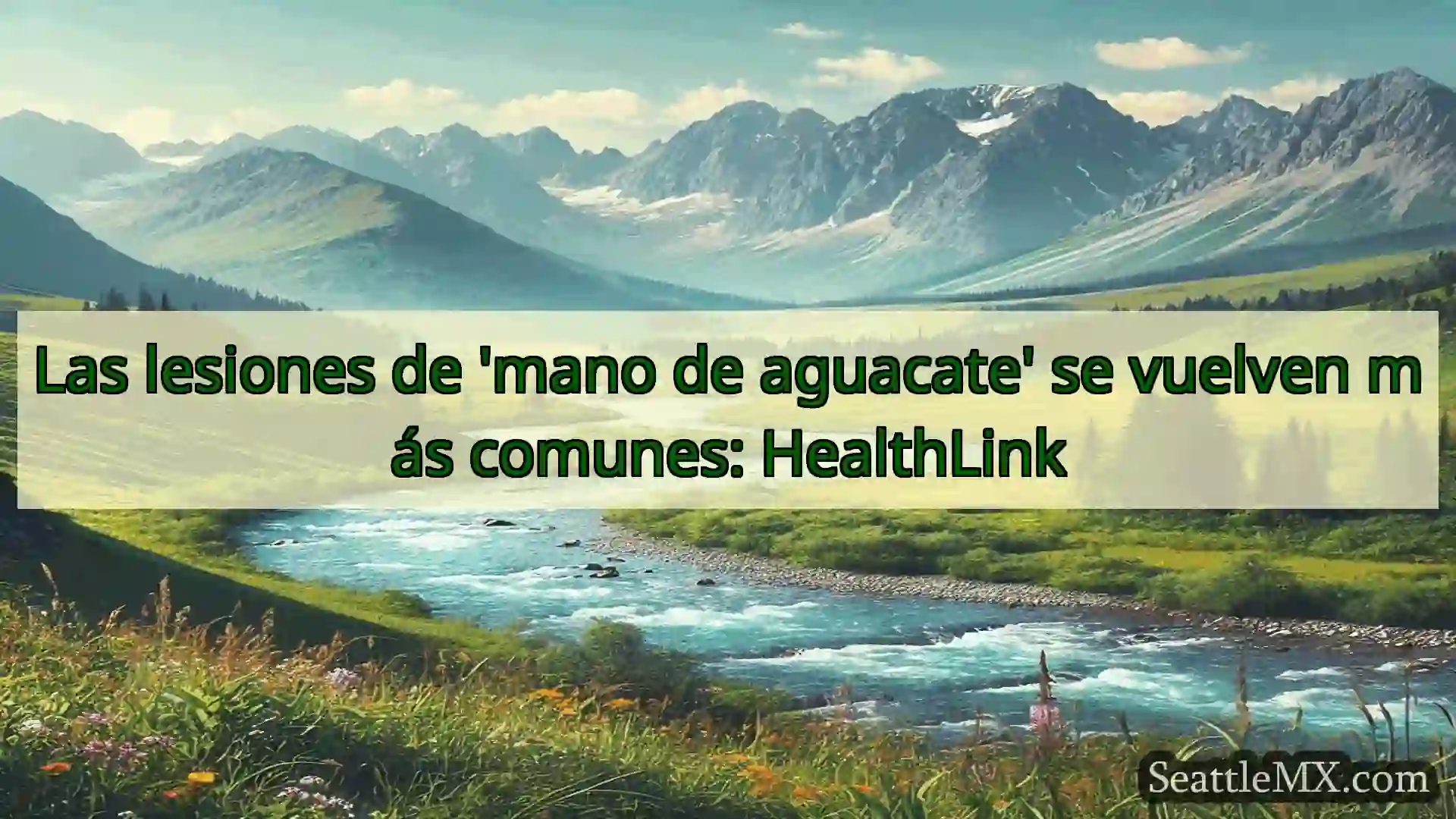 noticias de seattle Las lesiones de 'mano de aguacate'