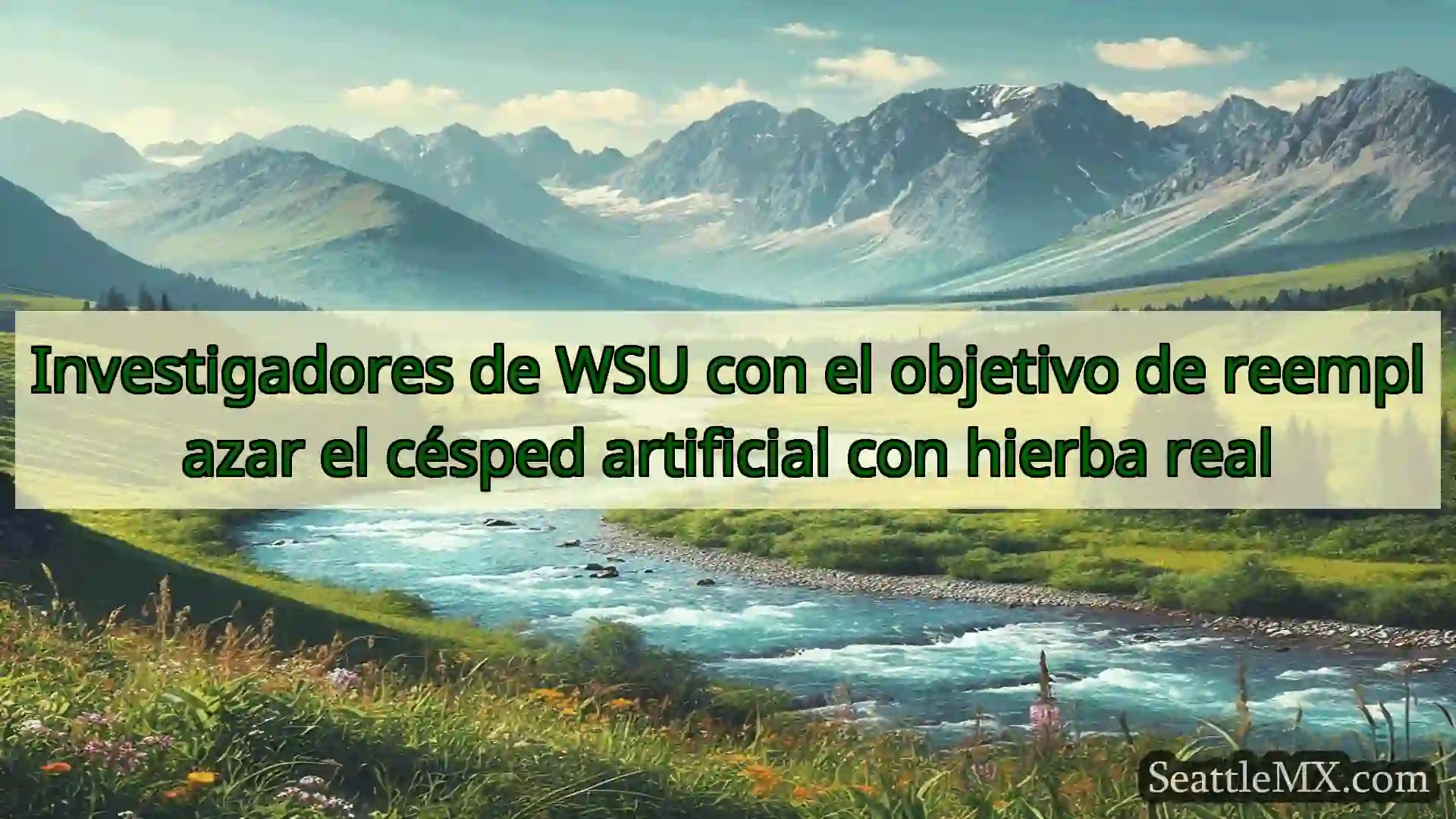 noticias de seattle Investigadores de WSU con el