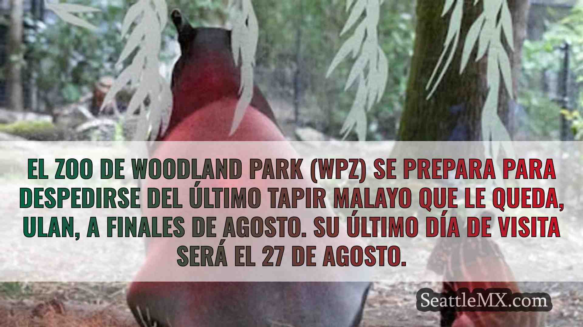 Noticias de Seattle SeattleMX