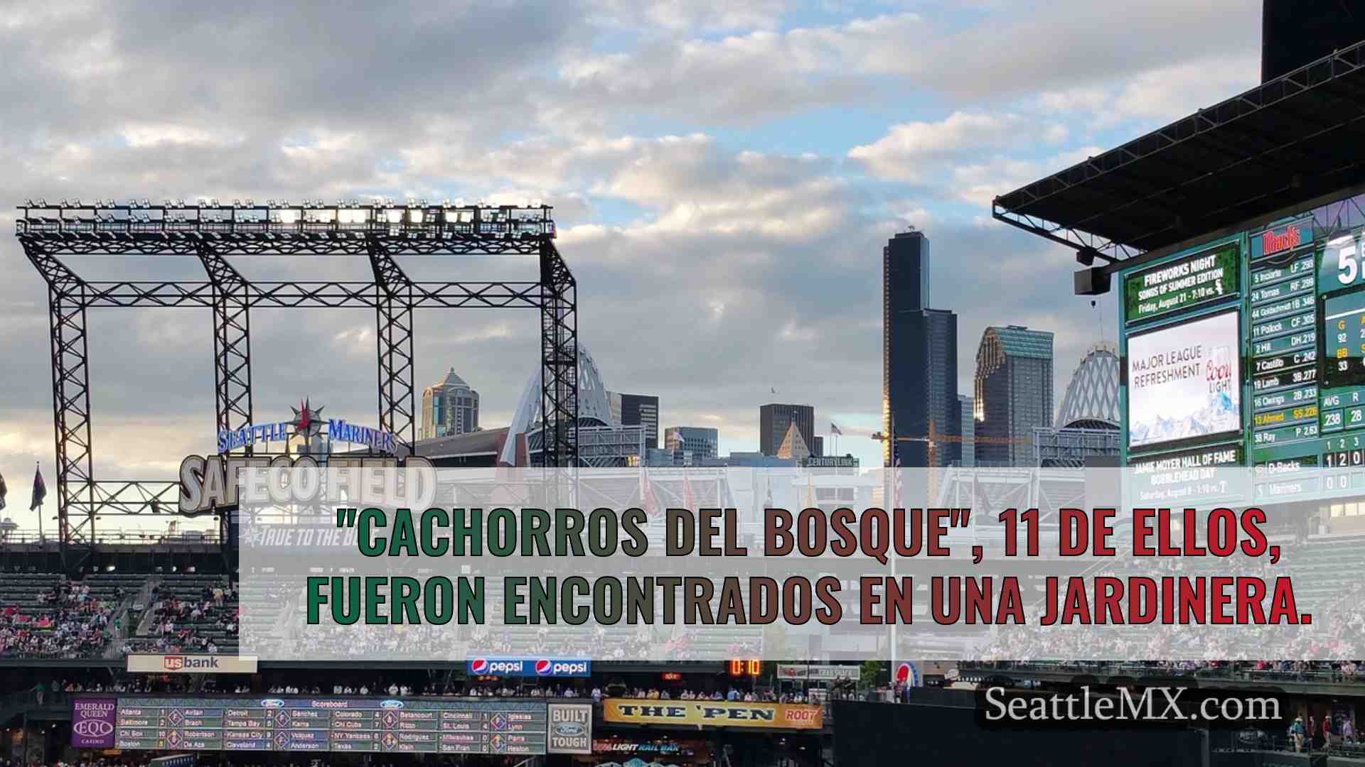 Noticias de Seattle SeattleMX