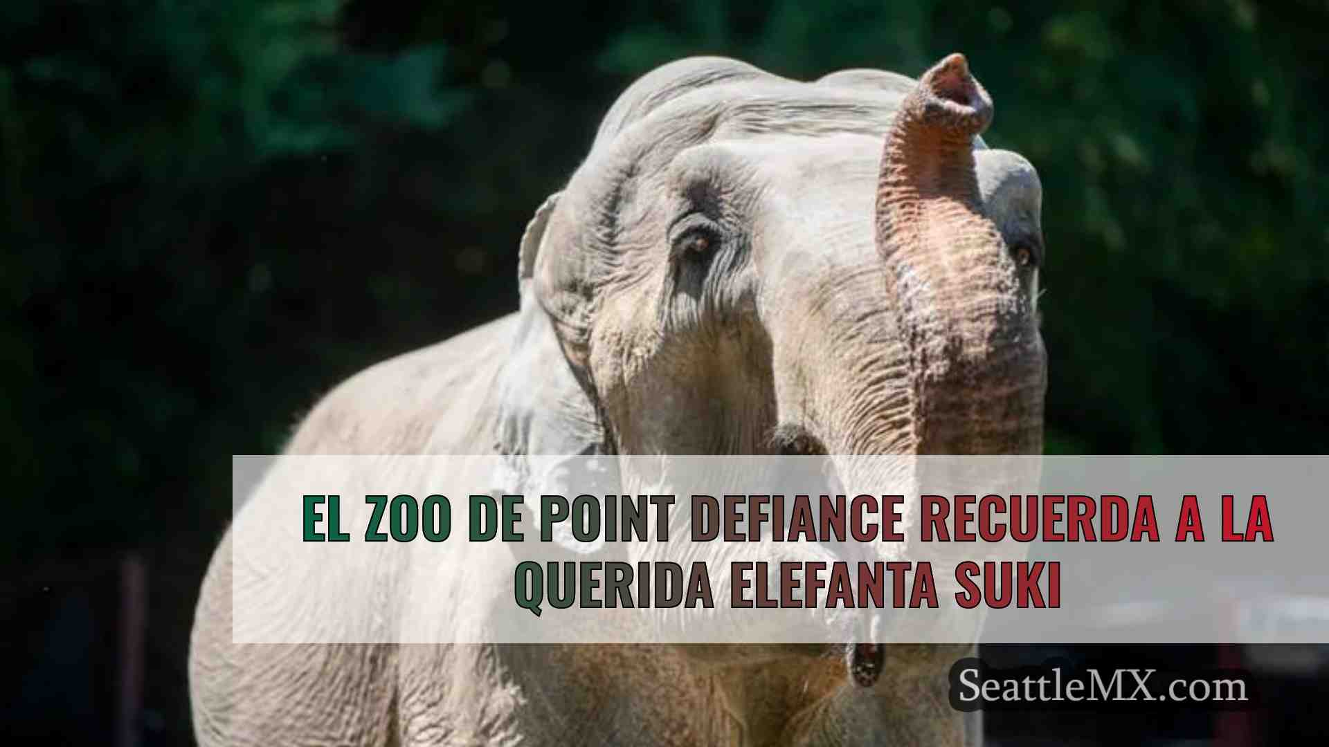 El zoo de Point Defiance recuerda a la