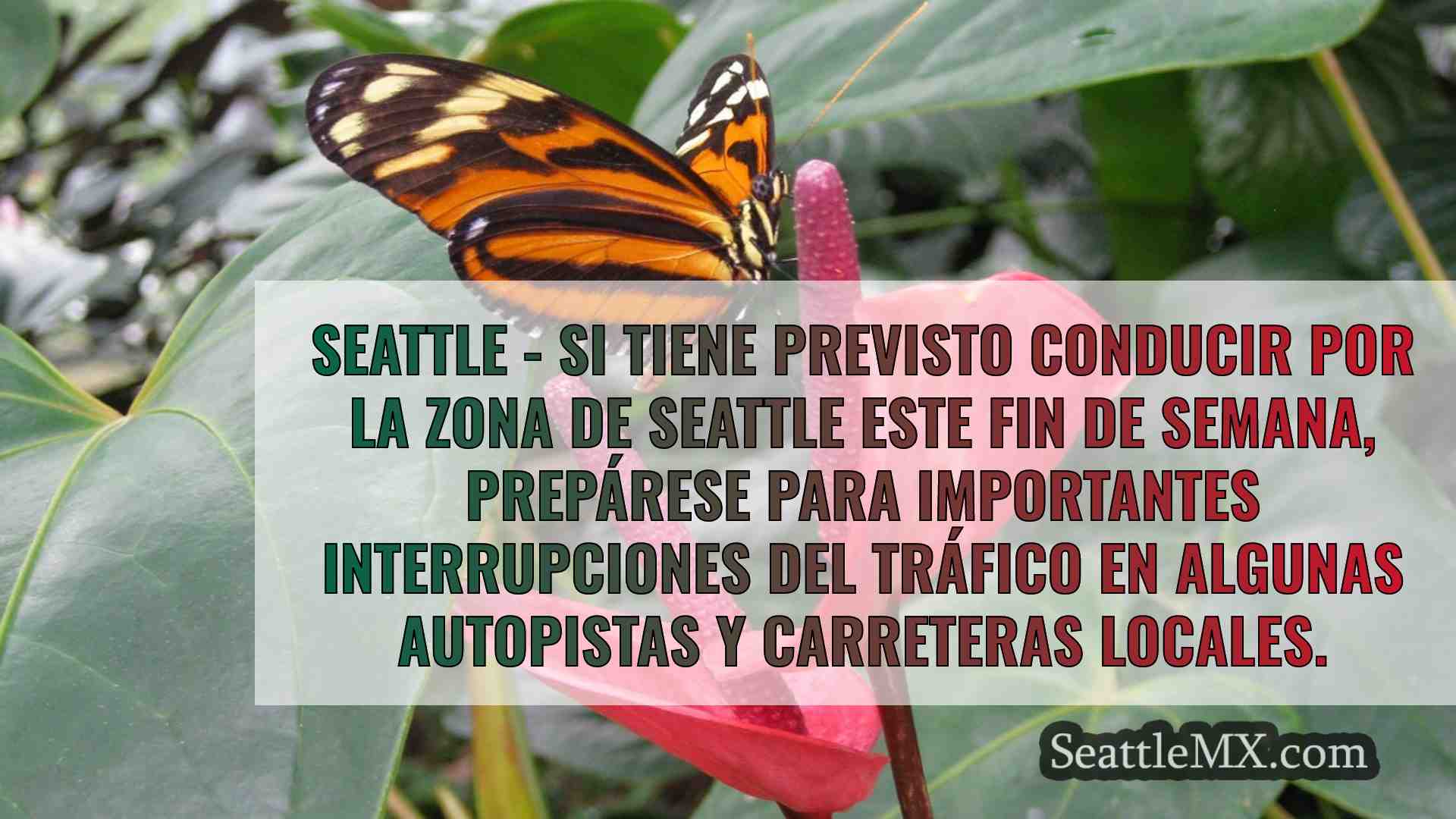 Noticias de Seattle SeattleMX
