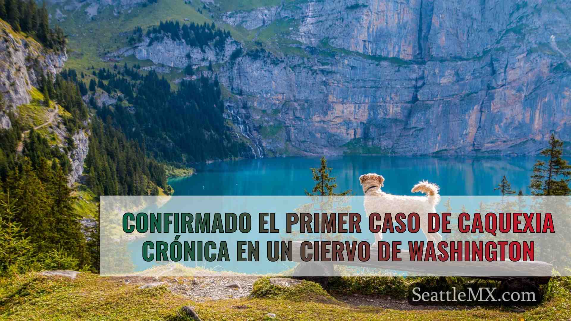 Noticias de Seattle SeattleMX