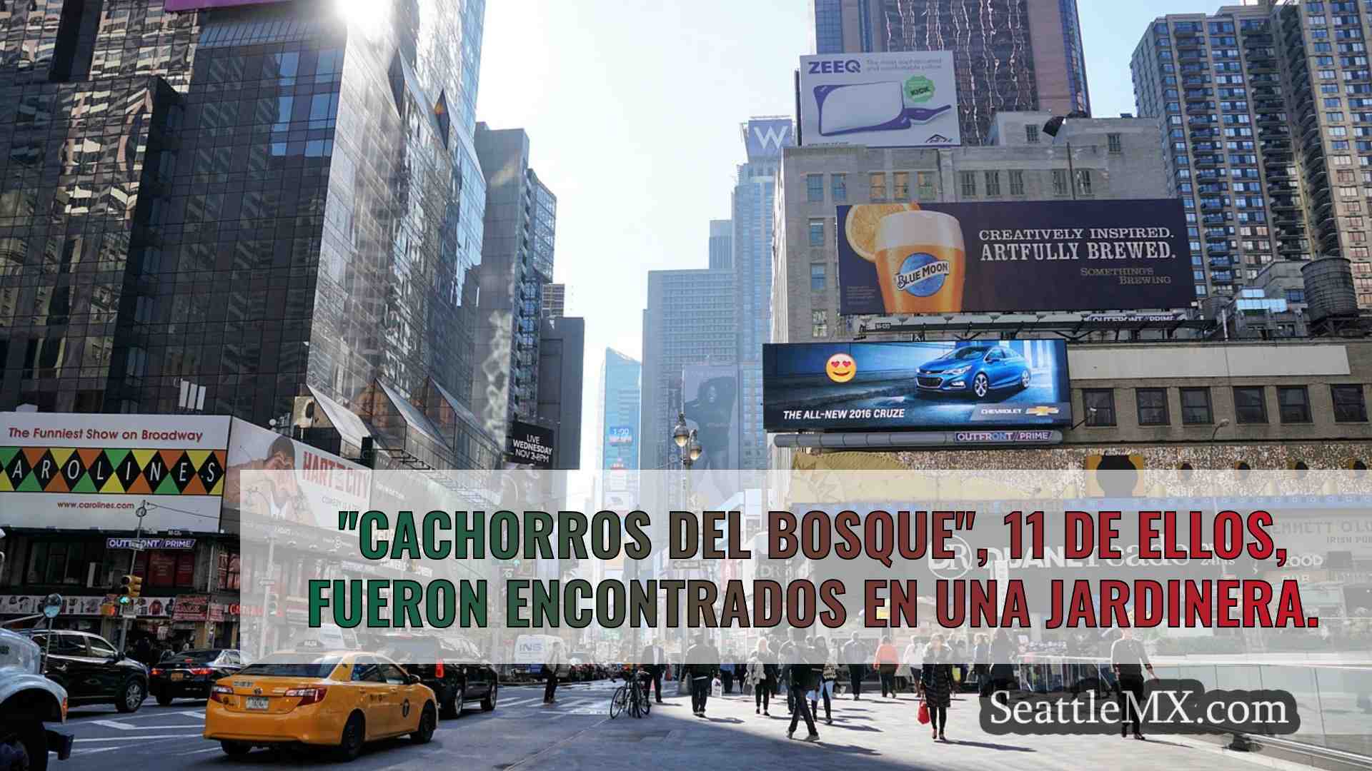 Noticias de Seattle SeattleMX