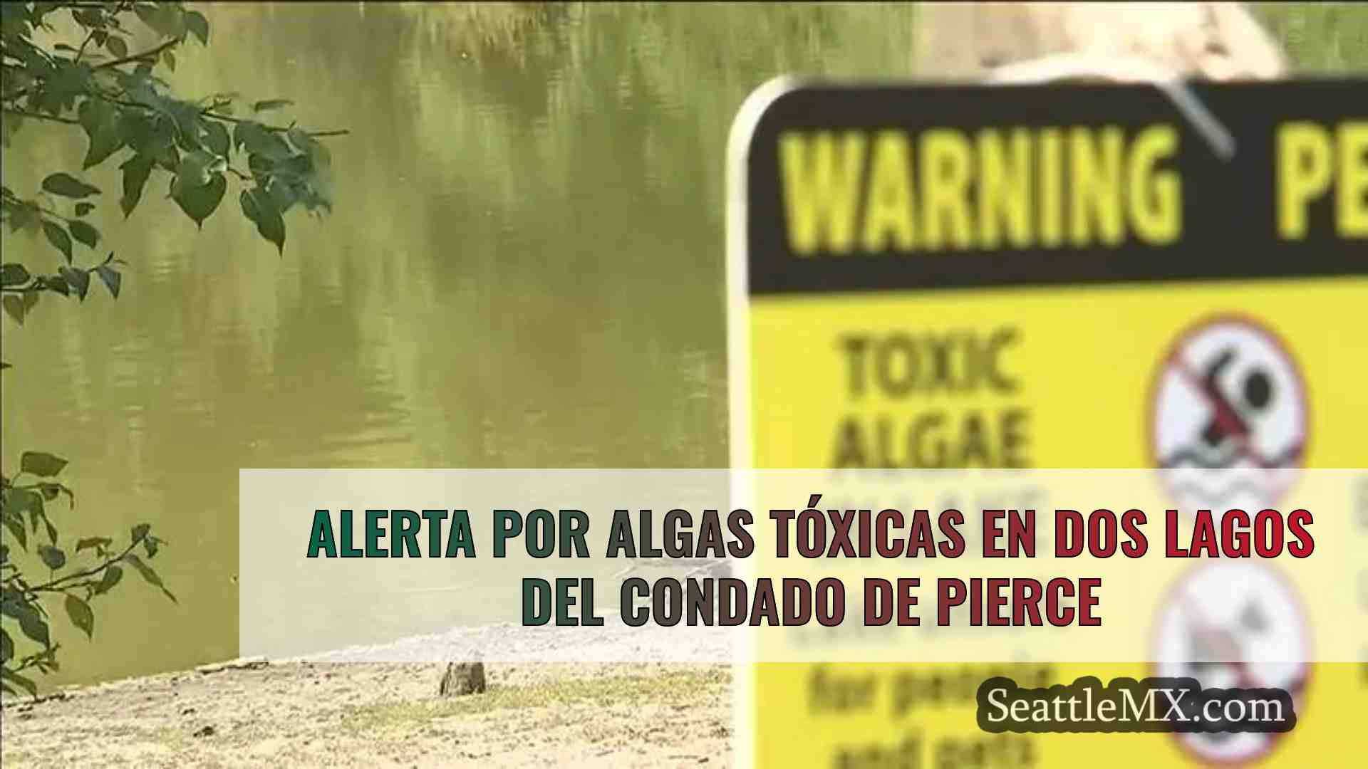 Alerta por algas tóxicas en dos lagos