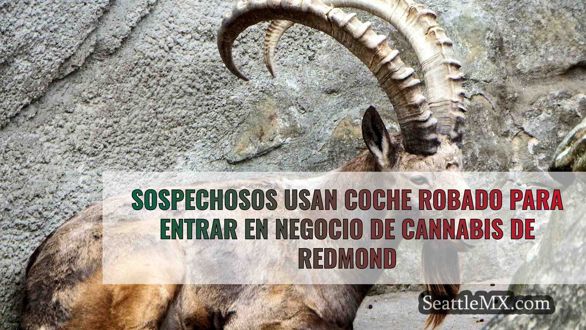 Noticias de Seattle SeattleMX