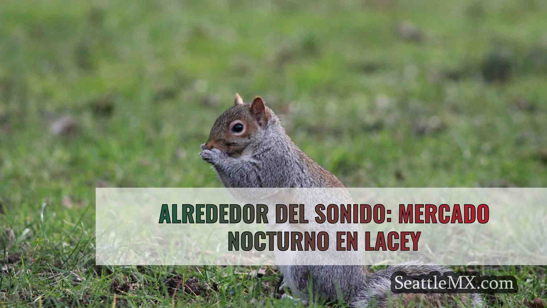Alrededor del Sonido: Mercado nocturno