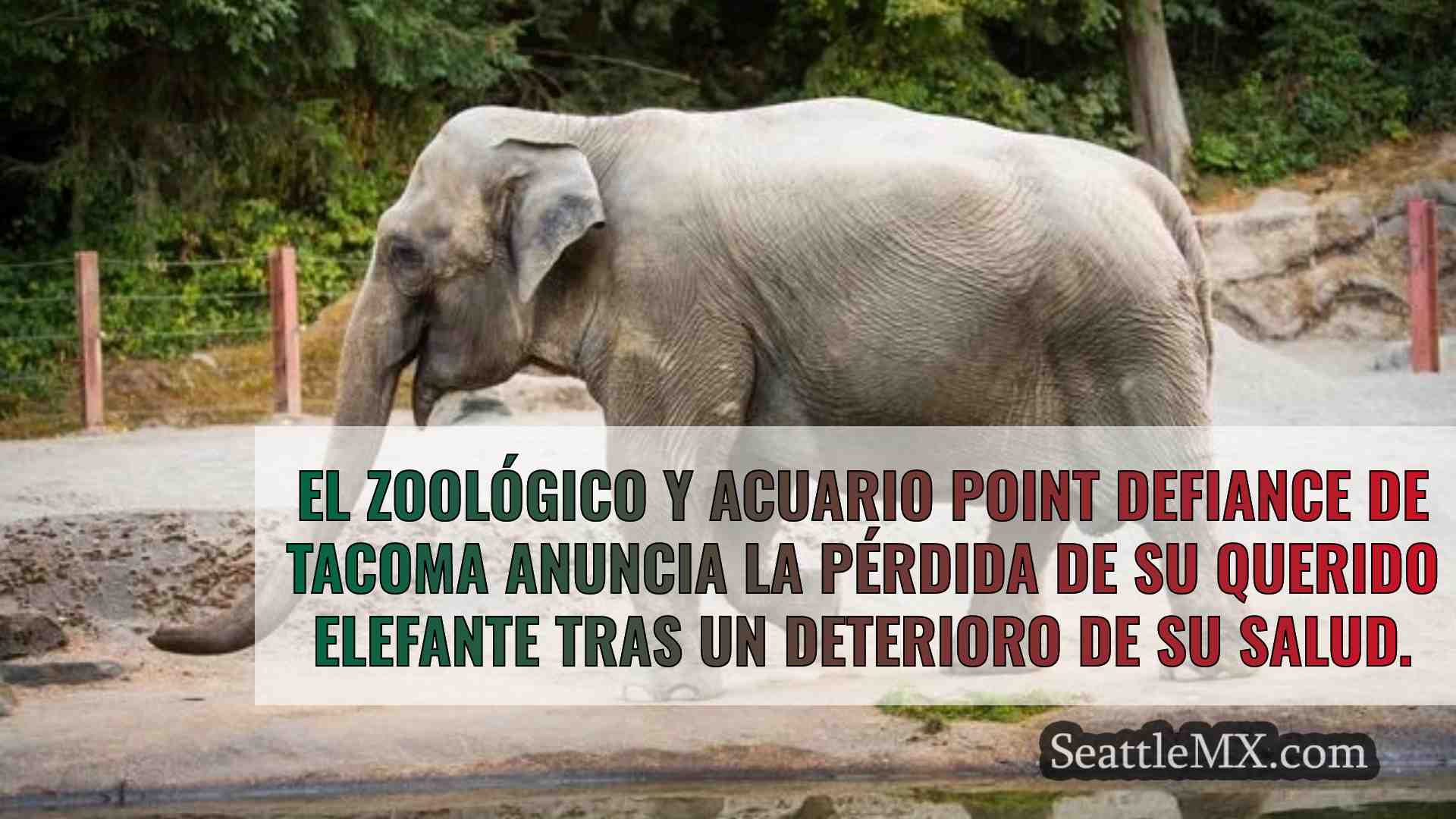 Noticias de Seattle SeattleMX