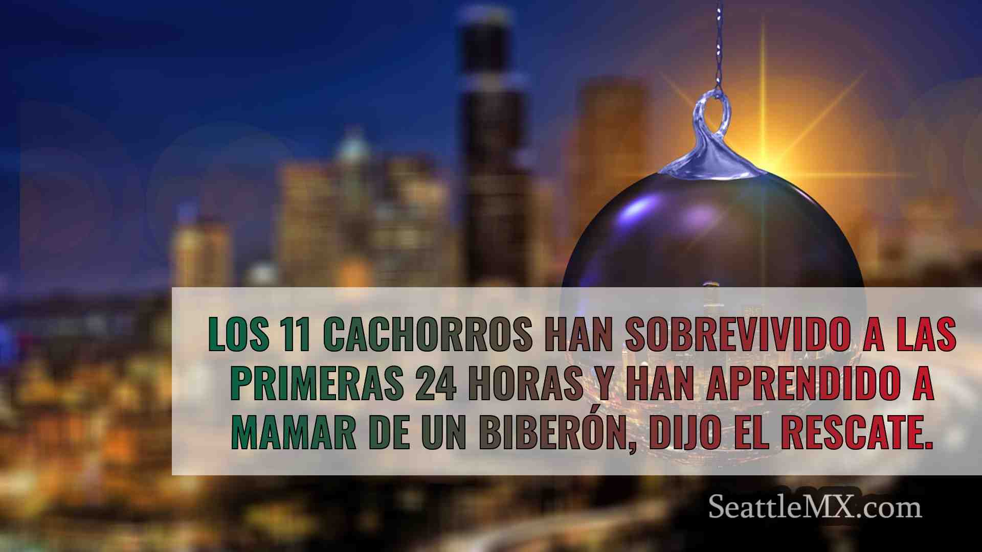 Noticias de Seattle SeattleMX