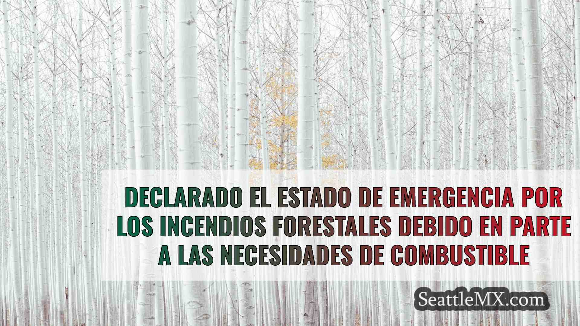 Noticias de Seattle SeattleMX