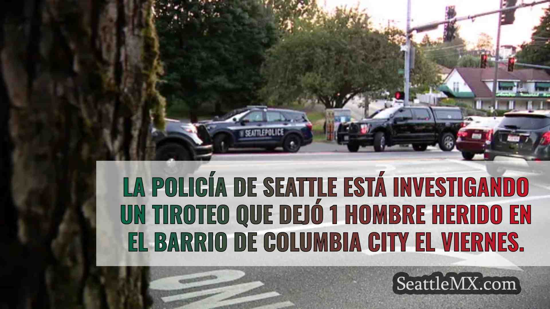 Herido grave un hombre en un tiroteo en