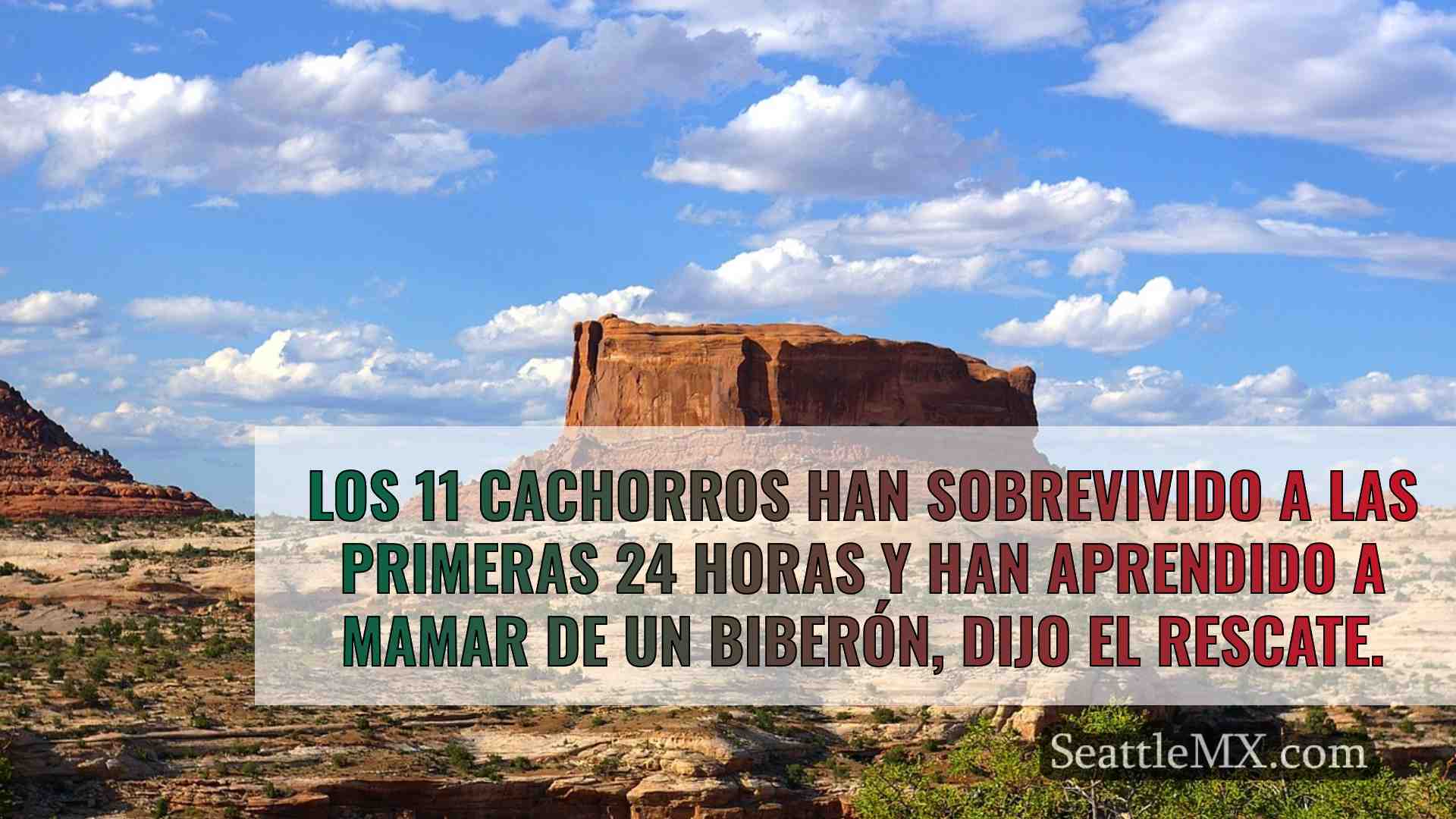 Noticias de Seattle SeattleMX