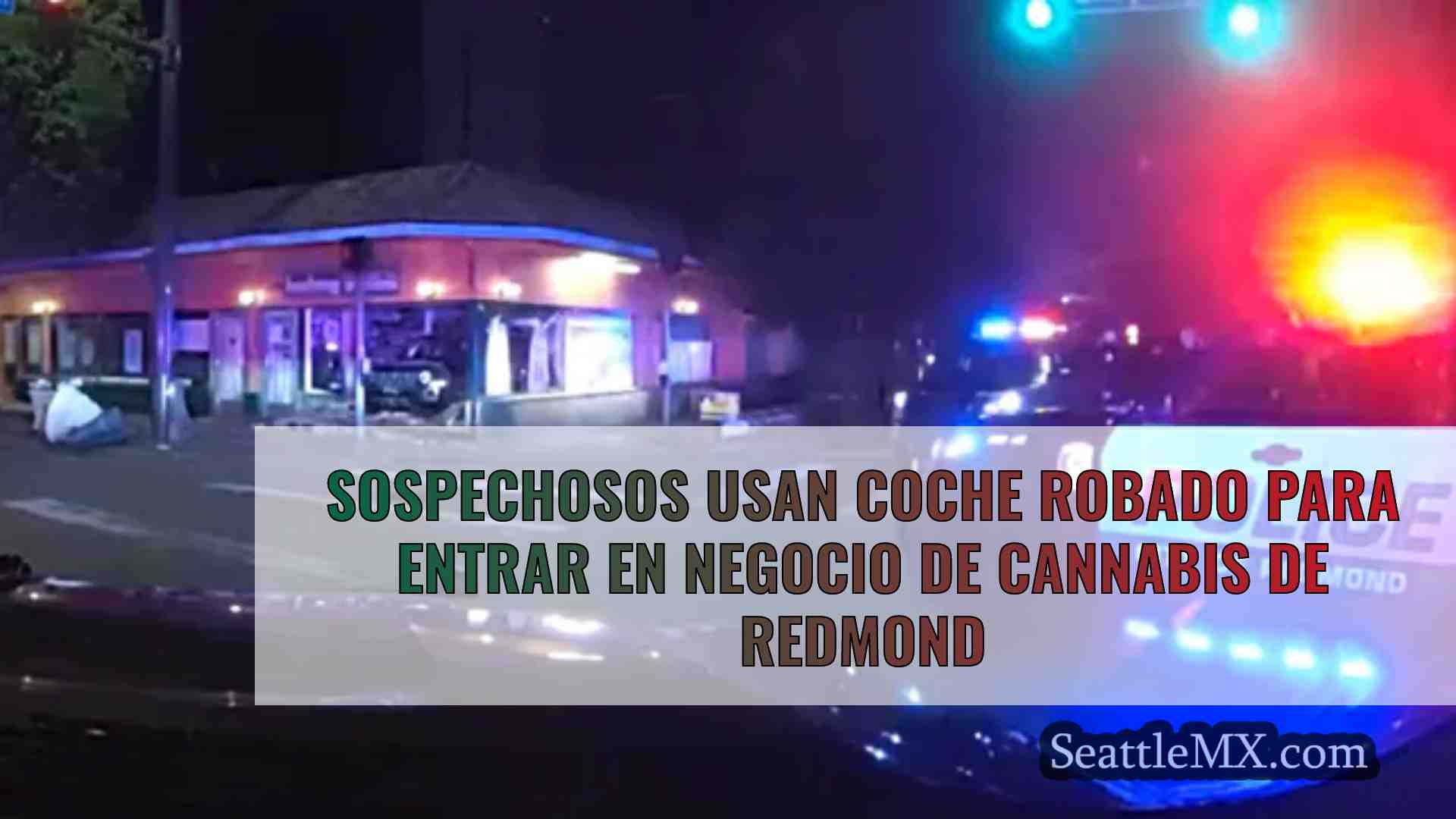 Sospechosos usan coche robado para