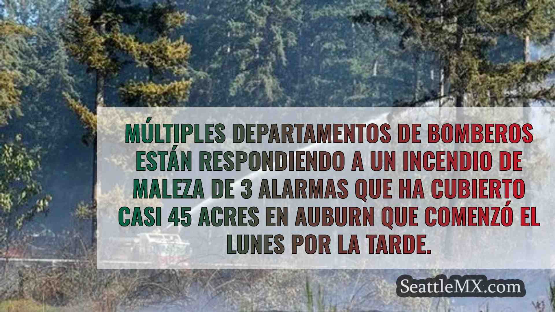Noticias de Seattle SeattleMX