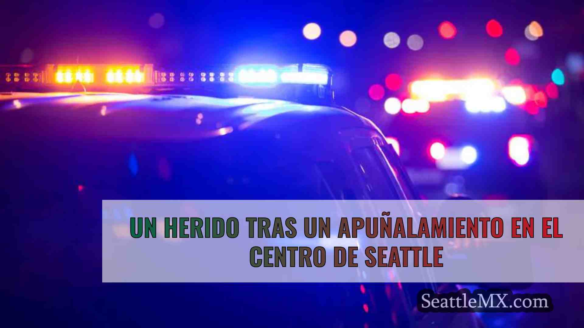 Un herido tras un apuñalamiento en el