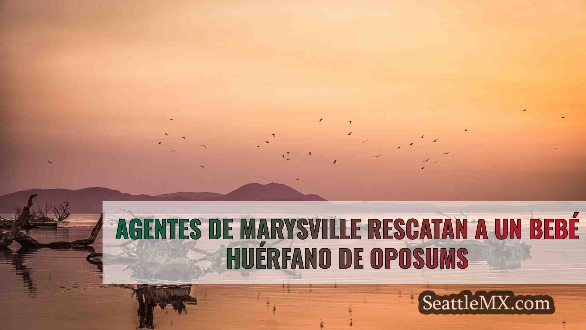 Noticias de Seattle SeattleMX