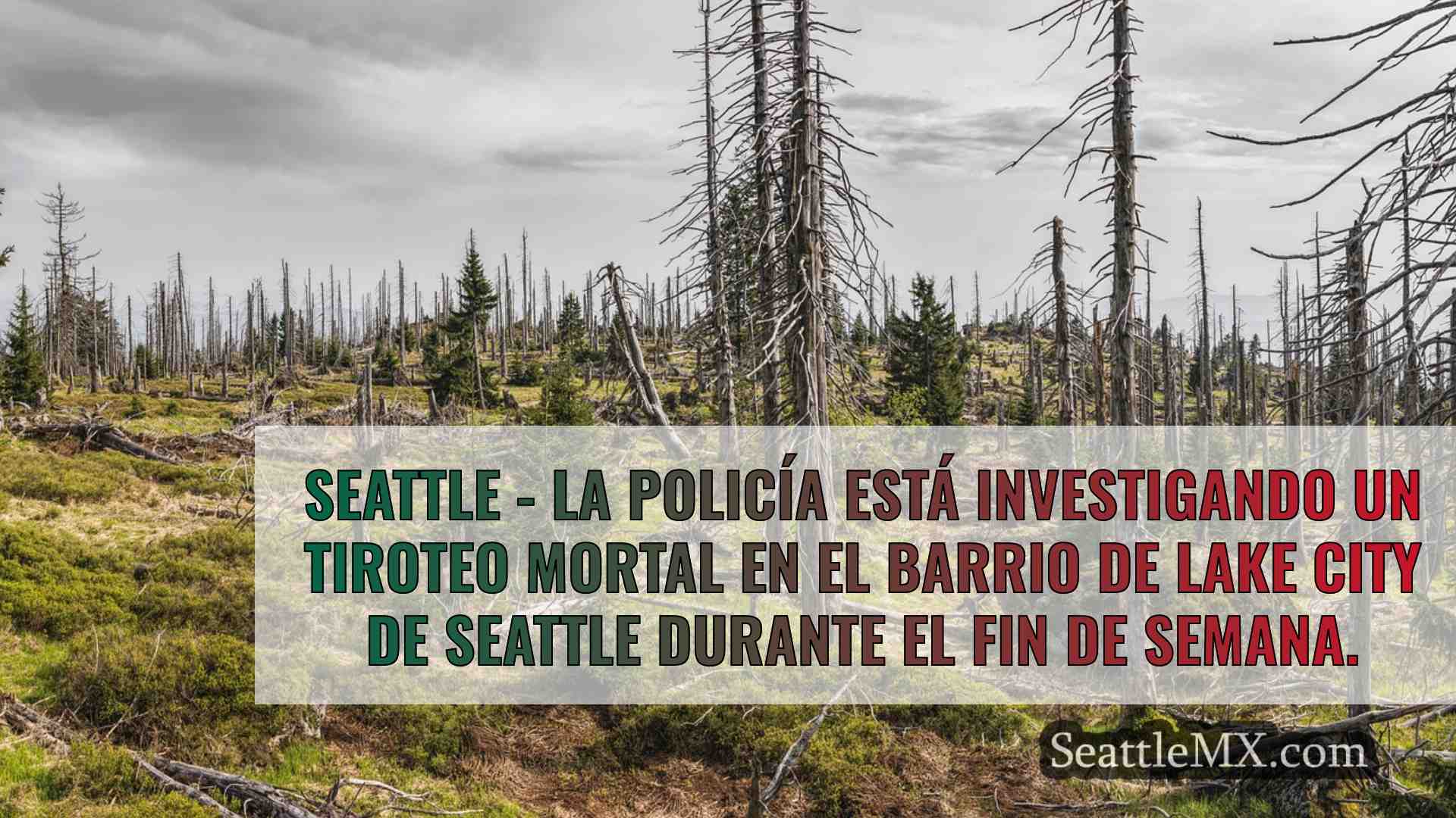 Noticias de Seattle SeattleMX