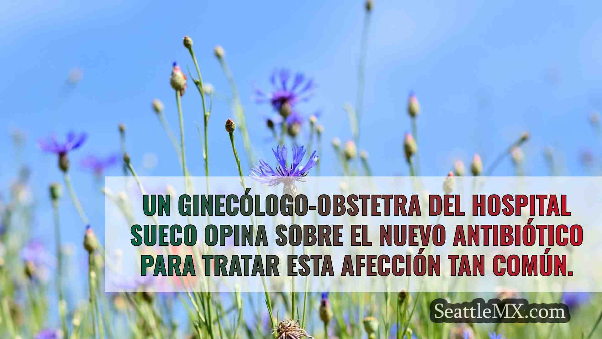 Noticias de Seattle SeattleMX
