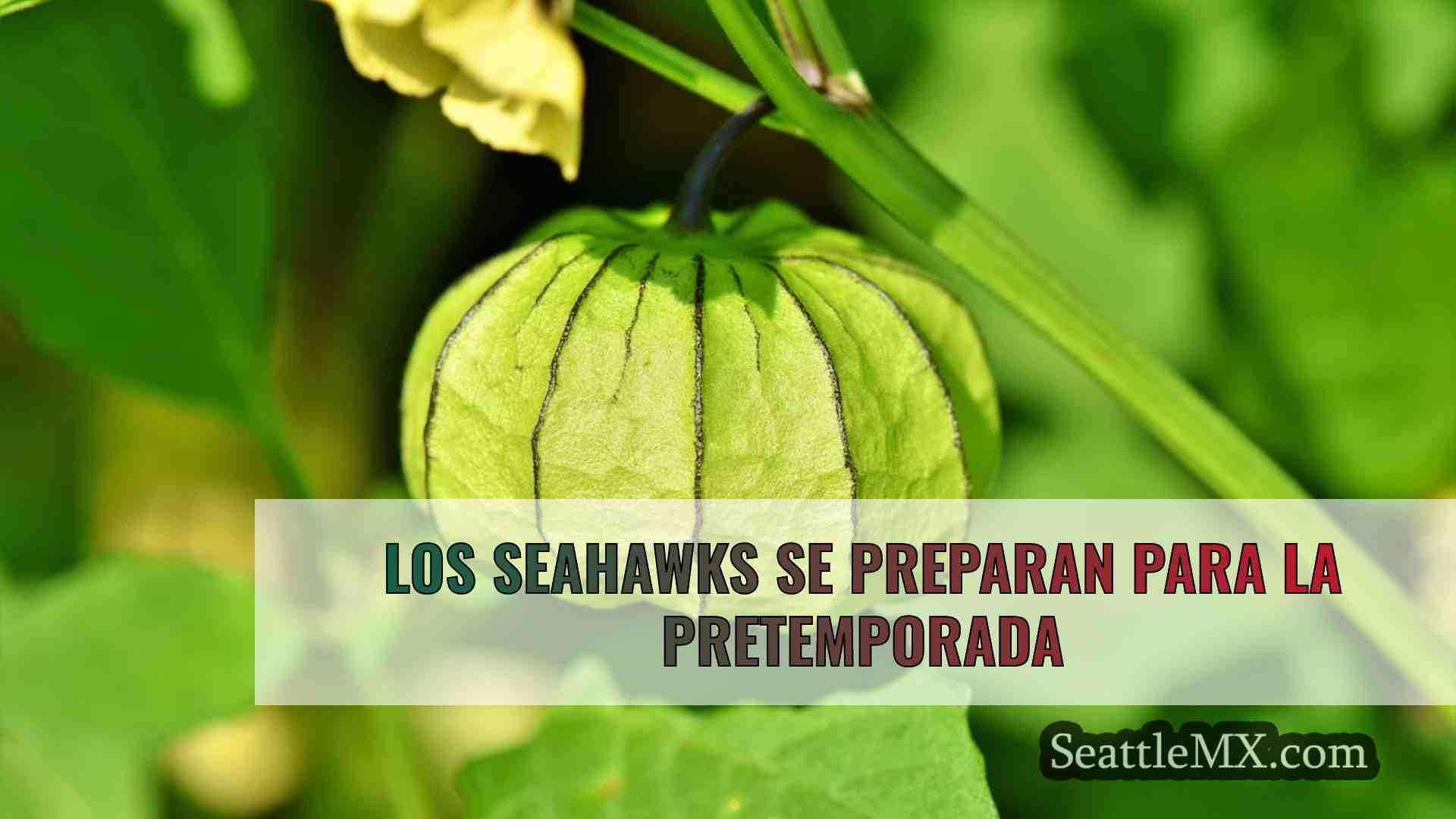 Noticias de Seattle SeattleMX